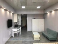 其它图