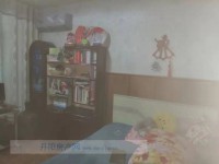 其它图