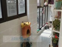 其它图