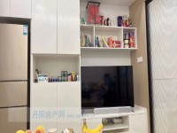 其它图