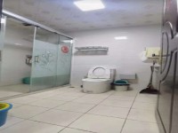 其它图