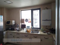 其它图