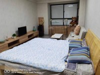 其它图