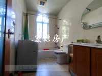 其它图