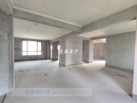 捡漏！天波城景观平层195平方毛坯送车位 天波城