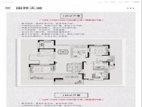 天波城湖景洋房143平方纯毛坯飞机户型诚 天波城